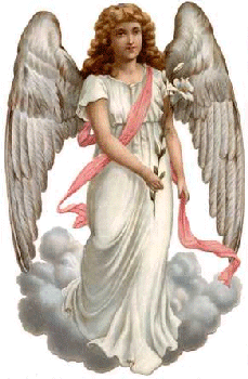 angel 06