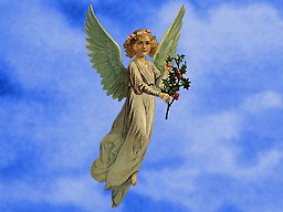 angel 11